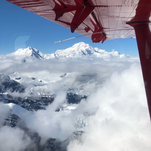 Meet your Posher, Pam - Picture 1 of 1